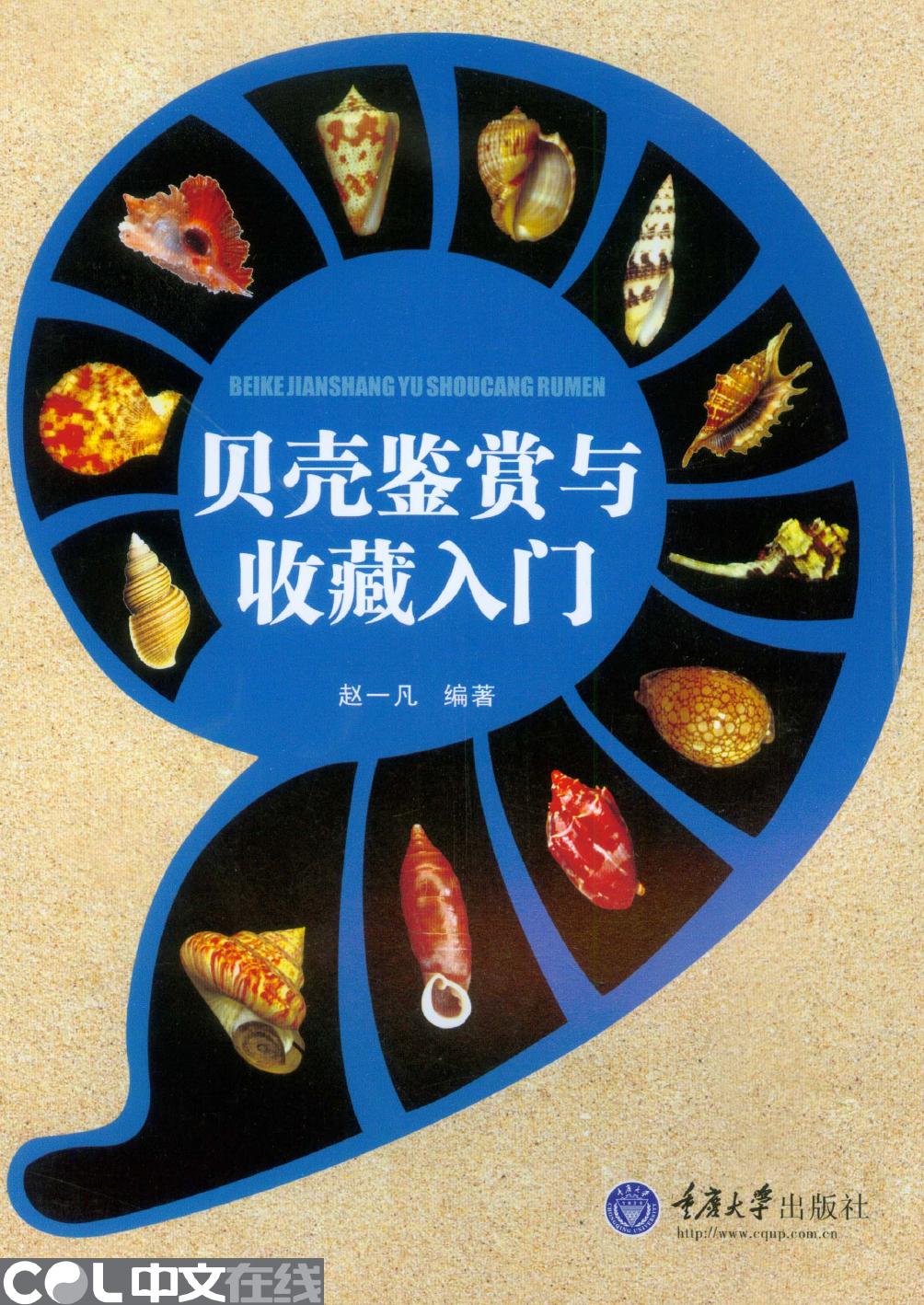 贝壳鉴赏与收藏入门