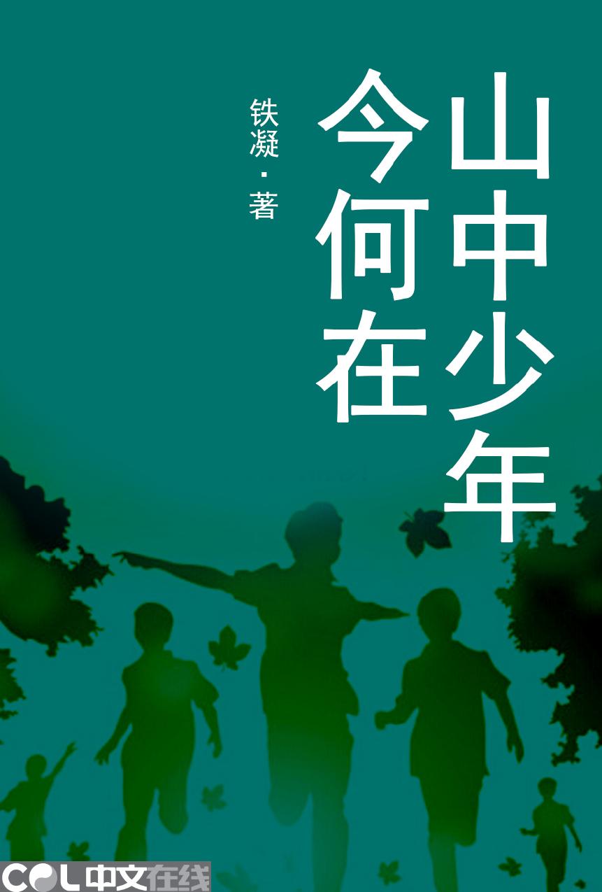 山中少年今何在