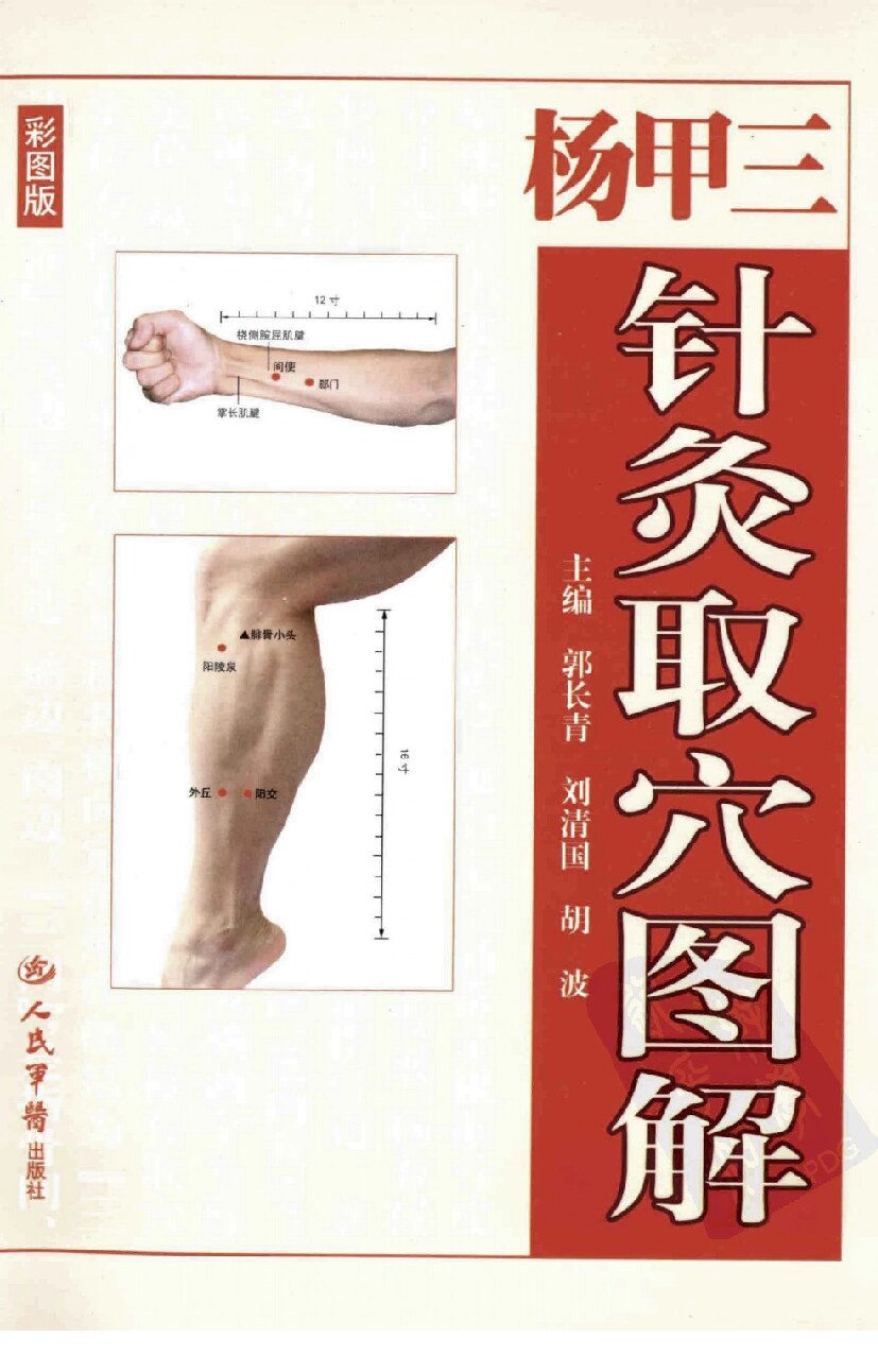 杨甲三针灸取穴图解